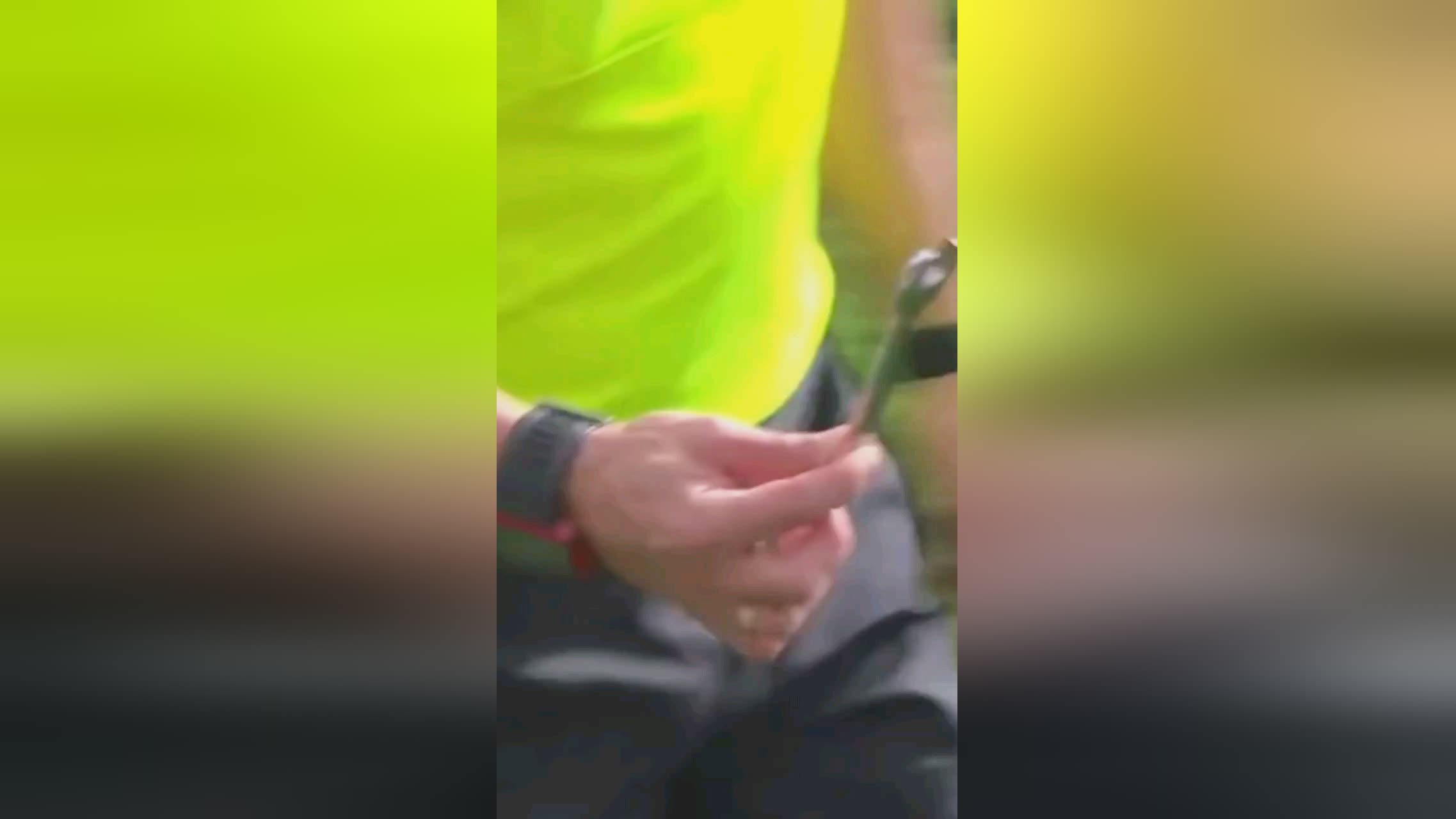 台第十